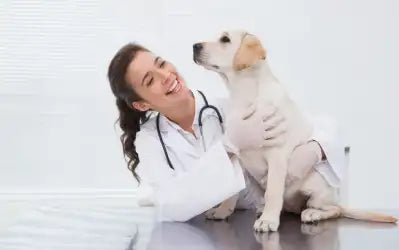 Scărpinatul câinelui poate fi un motiv pentru care să te prezinți la Nord Vet în Suceava? Iată ce ascunde această activitate
