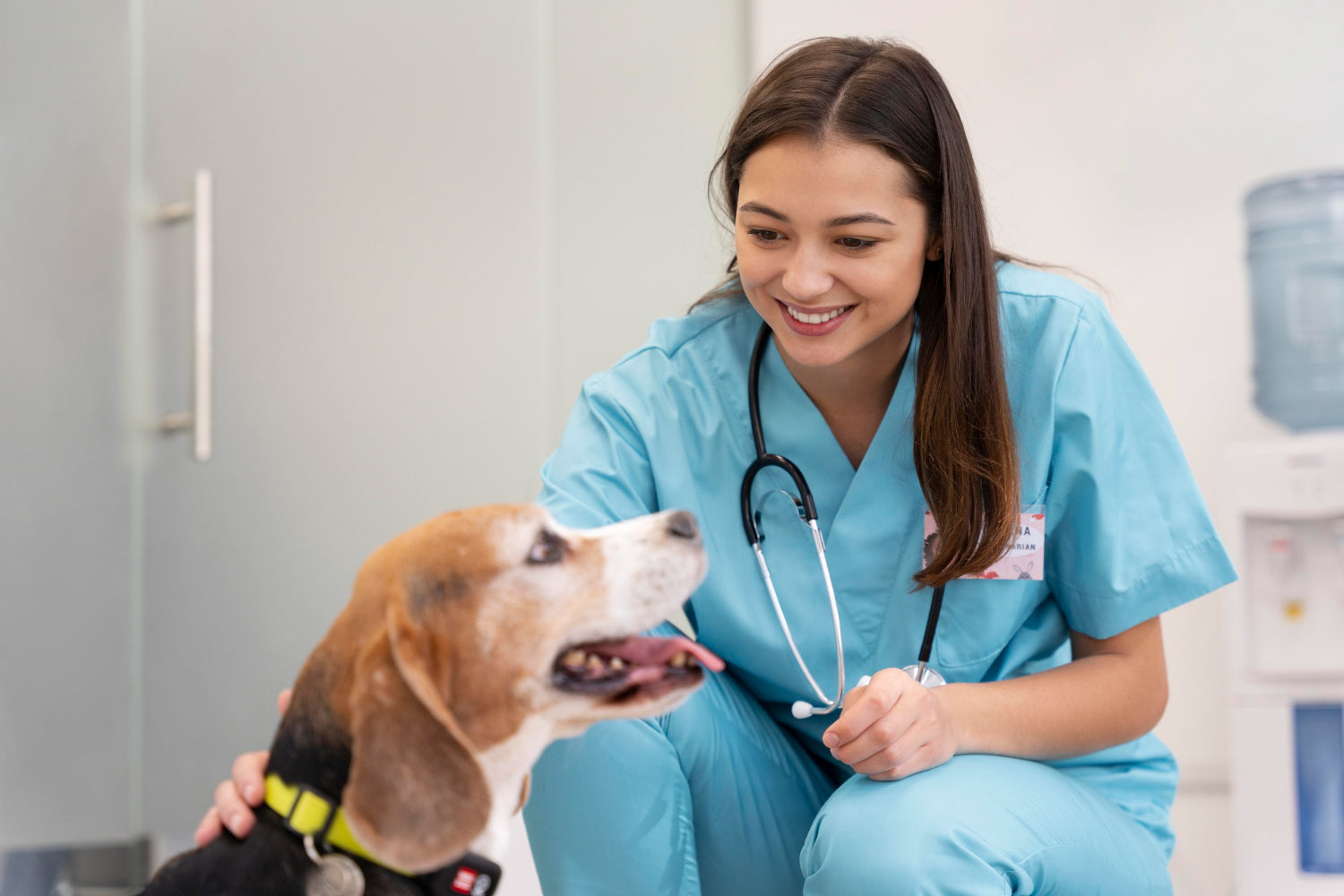 Medic veterinar alături de un câine